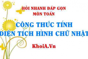 Công thức tính diện tích hình chữ nhật như thế nào? Hỏi nhanh đáp gọn môn Toán